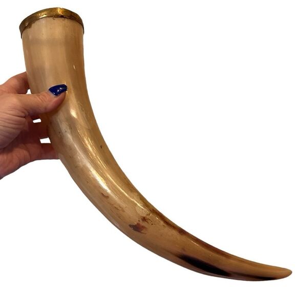 Handcrafted Natural Viking Beer Horn 16"Medieval Drinking Vessel Brass O… - Picture 15 of 15